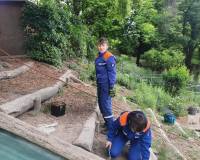 WhatsApp_Image_2025-12-30_at_20.58.00_3_original